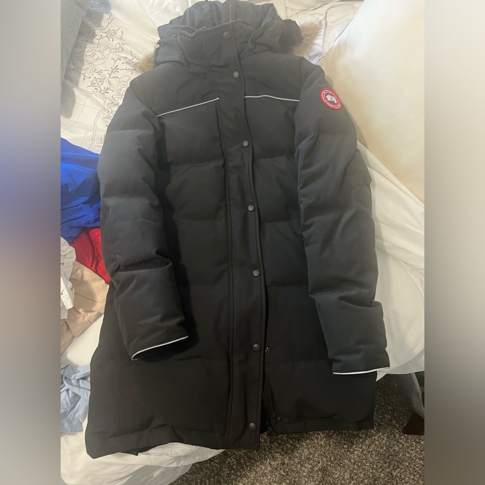 Canada goose